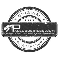Paleobusiness.com