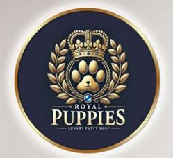 Cuccioli Royal Puppies