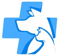 Pet Salus - Ambulatorio Veterinario