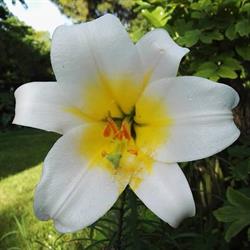 Lieti Colli Bed & Breakfast