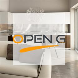 OPEN GROUP SRL
