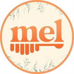 Mel apicoltura