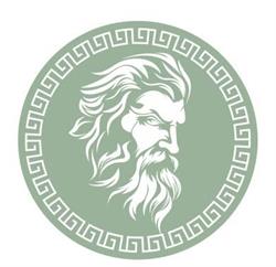 Zeus SRL Anacardi