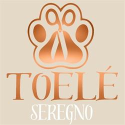 Toelé Seregno - Non Solo Toelettatura