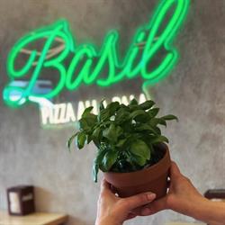 Basil Pizzeria