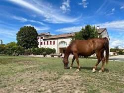 B&B Ranch Borgo Bella Vita