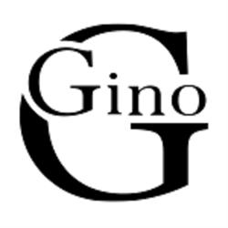Gino Volvo Cuneo Officina