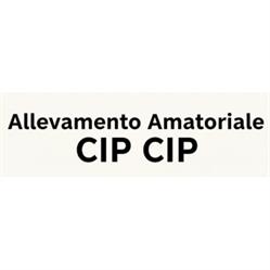 Allevamento Amatoriale Cip Cip