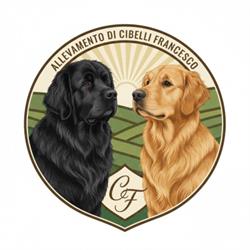 Allevamento Cibelli Terranova e Golden Retriever