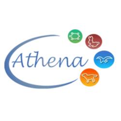 Athena