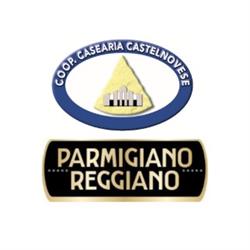 Coop Casearia Castelnovese