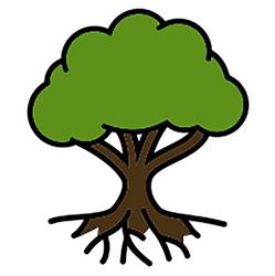 Dott.ssa Sara D'Imperio, PhD - Biologa Nutrizionista