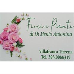 Fiori e Piante di Di Mento Antonina