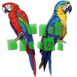 Bari Parrot Exotic