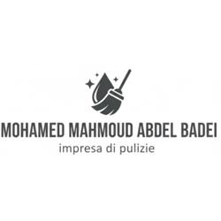Mohamed Mahmoud Abdel Badei