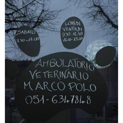 Ambulatorio Veterinario Marco Polo di Basso e Chimenti
