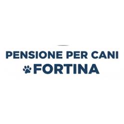 Pensione per Cani Fortina