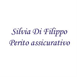 Perito assicurativo infortunistica stradale Silvia Di Filippo