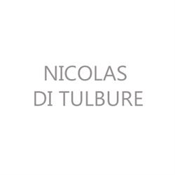 Nicolas di Tulbure