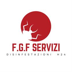 F.G.F. Servizi