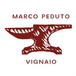 Marco Peduto - Vignaio in Castel San Lorenzo