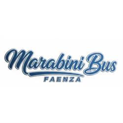 Marabinibus sas