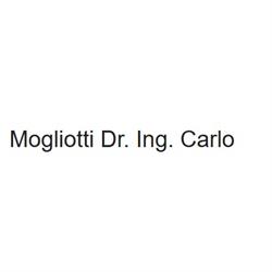 Mogliotti Dr. Ing. Carlo