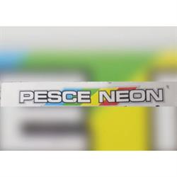 Pesce Neon Servizi