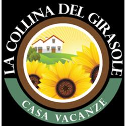 La collina del Girasole