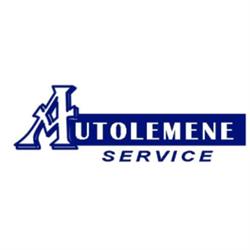 Autolemene Service