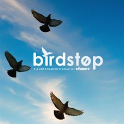 Allontanamento Piccioni e Volatili Tecnologie Innovative BirdControl | Birdstop
