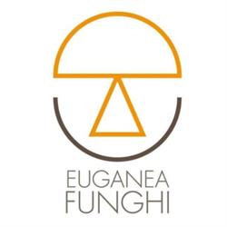 Euganea Funghi