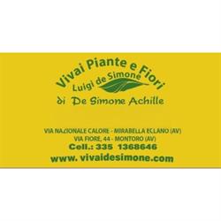 Vivaio Luigi de Simone