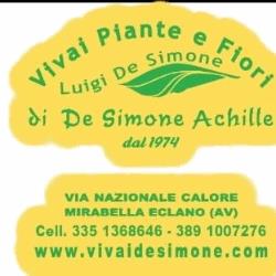 Vivaio Luigi de Simone