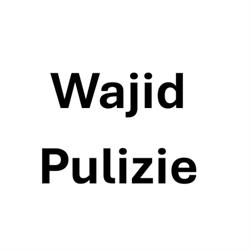 Wajid Pulizie
