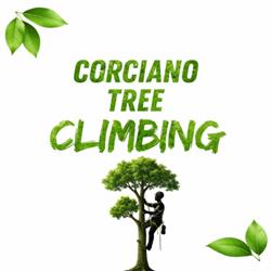 Corciano tree climbing