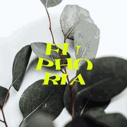 Euphoria Flower Design