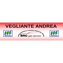 Officina Vegliante Truck e Car