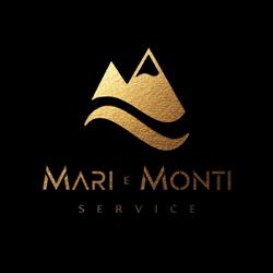 MMS Agency