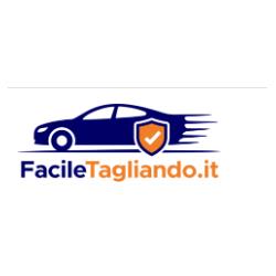Facile Tagliando Srls