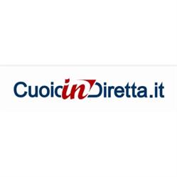 ilcuoioindiretta.it