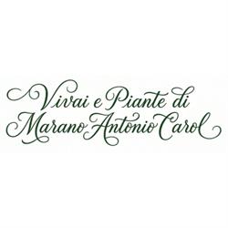 Vivaio Marano