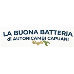 La Buona Batteria - Autoricambi Capuani