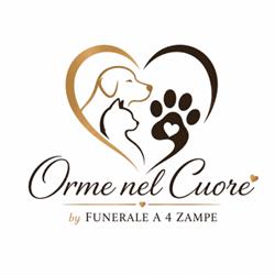 Orme nel Cuore Torino