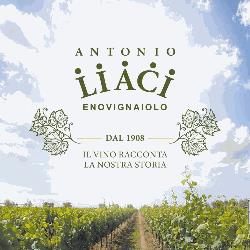Antonio Liaci enovignaiolo