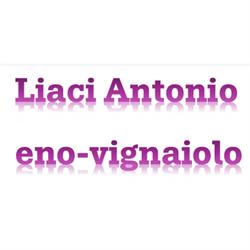 Liaci Antonio eno-vignaiolo
