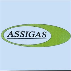 Assigas di Diamantini e Pacini snc