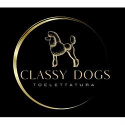 ClassyDogs