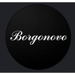 Borgonov Art