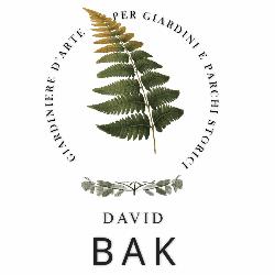 David Bak